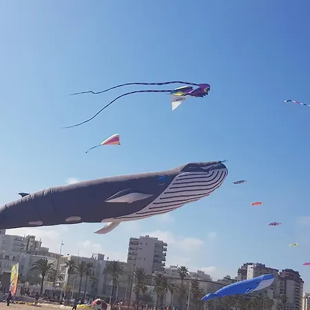 Terraza Soleada Playa de Gandia