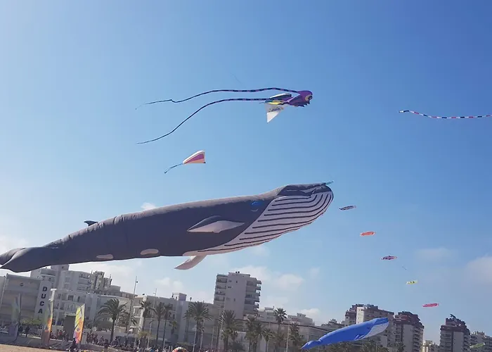 Terraza Soleada Playa de Gandia